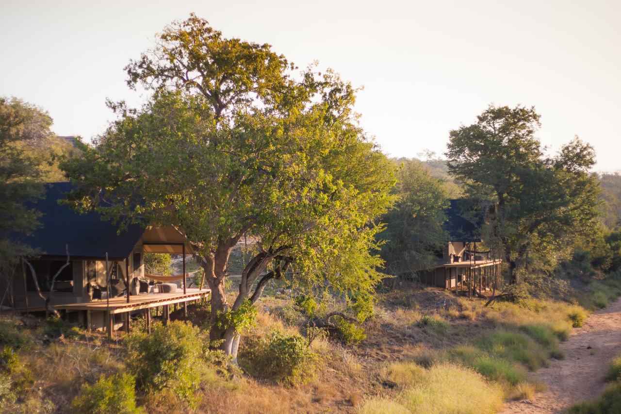 Garonga Safari Camp Villa Makalali Game Reserve Bagian luar foto