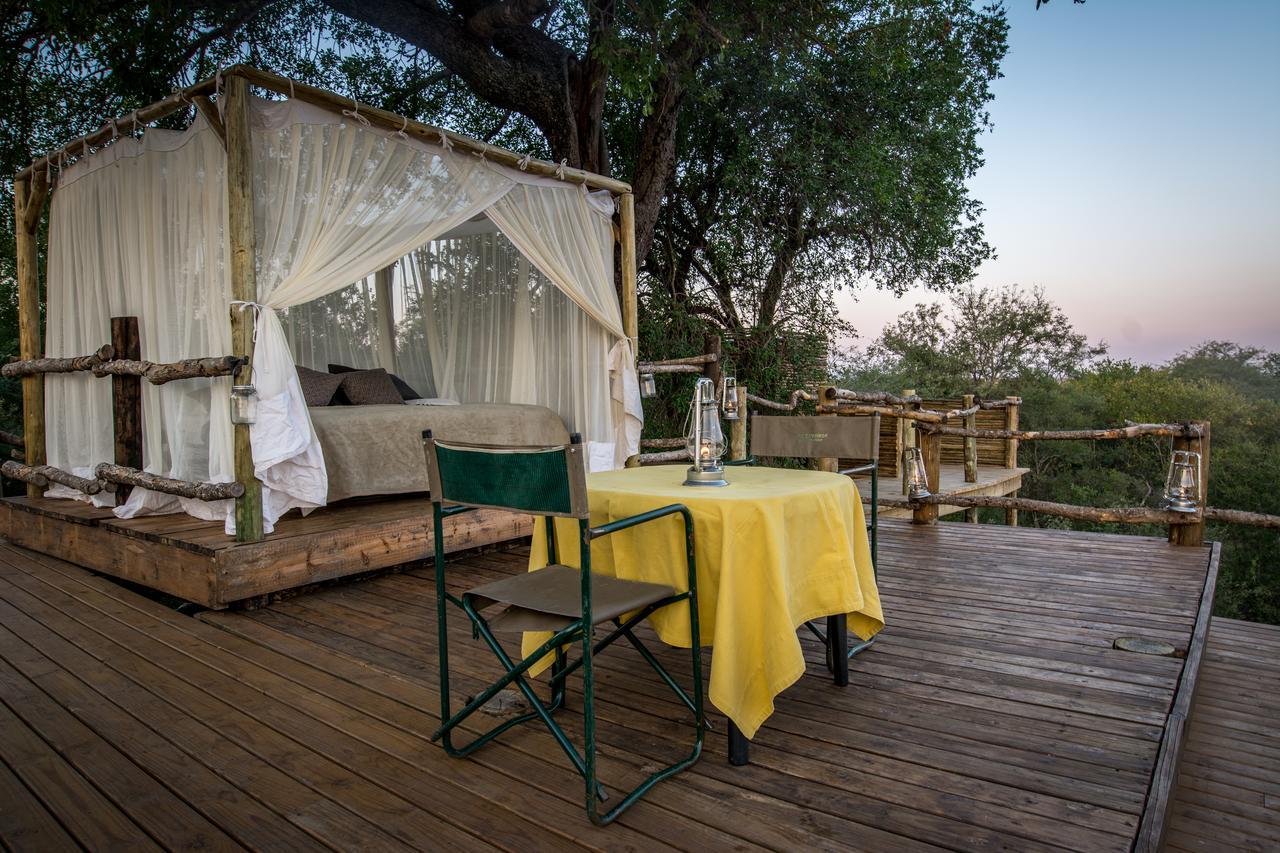 Garonga Safari Camp Villa Makalali Game Reserve Bagian luar foto